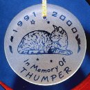 Cat memorial Disc